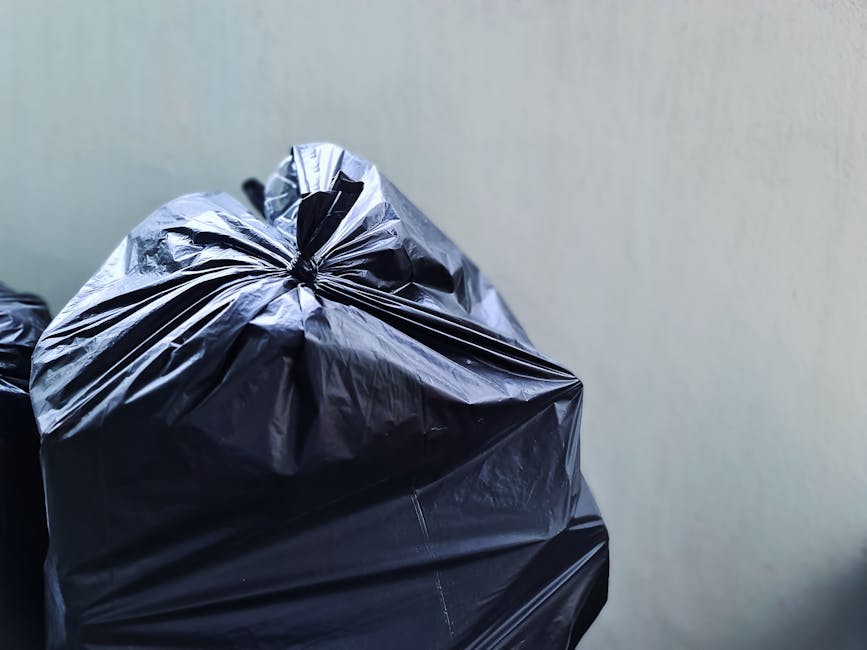 What to know about same day Barbican rubbish collection